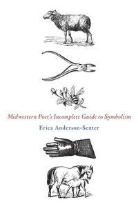 bokomslag Midwestern Poet's Incomplete Guide to Symbolism