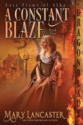 bokomslag Constant Blaze