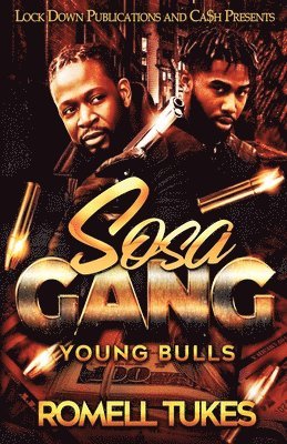 bokomslag Sosa Gang