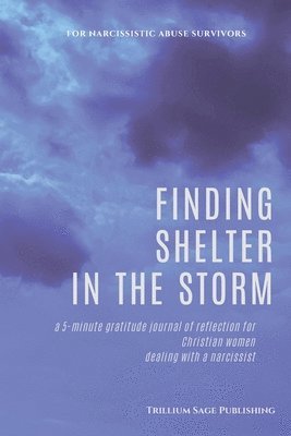 Finding Shelter in the Storm 1