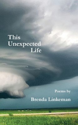 This Unexpected Life 1