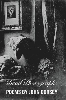 Dead Photographs 1