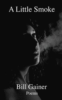 bokomslag Little Smoke