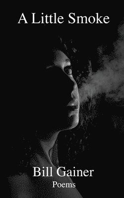 bokomslag Little Smoke