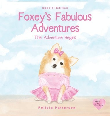 bokomslag Foxey's Fabulous Adventures