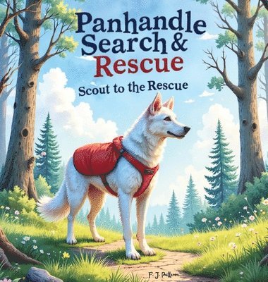 Panhandle Search and Rescue: Scout to the Rescue