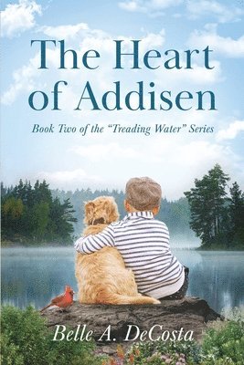 bokomslag Heart of Addisen
