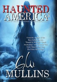 bokomslag Haunted America Vol. 1 Stories of Ghosts, Hauntings and the Unexplained