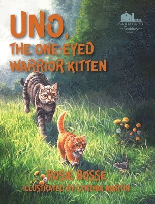 Uno the One-Eyed Warrior Kitten