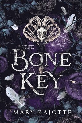 bokomslag The Bone Key