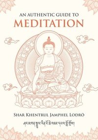 bokomslag An Authentic Guide to Meditation