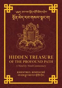 bokomslag Hidden Treasure of the Profound Path