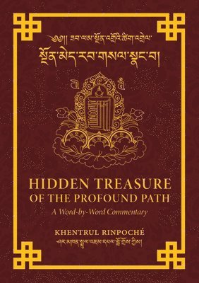 bokomslag Hidden Treasure of the Profound Path