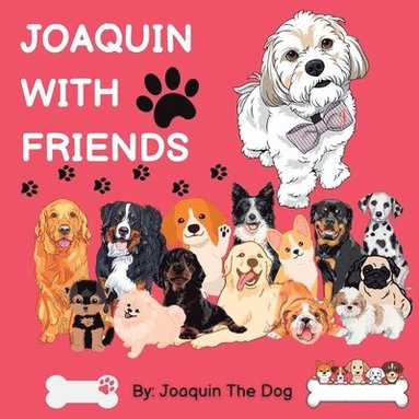 bokomslag Joaquin With Friends