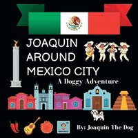 bokomslag Joaquin Around Mexico City
