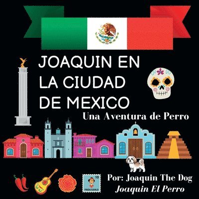 Joaquin en La Ciudad de Mexico 1