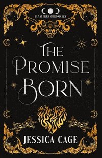 bokomslag Promise Born