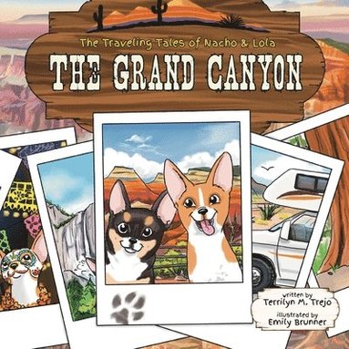 bokomslag Grand Canyon