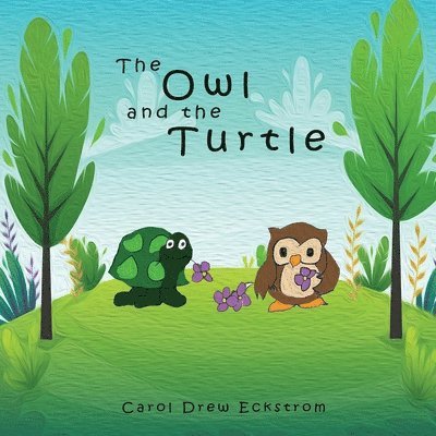 Carol Drew Eckstrom - Owl and the Turtle, Häftad