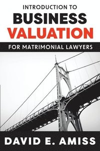 bokomslag Introduction to Business Valuation for Matrimonial Lawyers