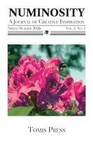 Tomis Press Contributors, Jesse S Smith - Numinosity, Häftad