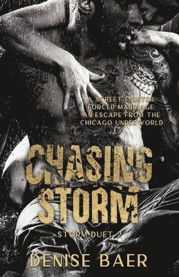 bokomslag Chasing Storm