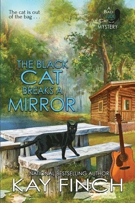 The Black Cat Breaks a Mirror 1