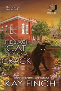 bokomslag The Black Cat Steps on a Crack