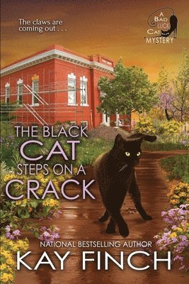 bokomslag Black Cat Steps on a Crack