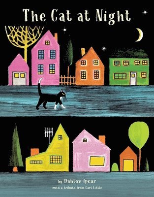 bokomslag The Cat at Night