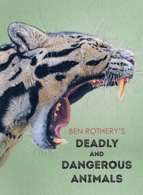 Ben Rothery - Ben Rothery′s Deadly and Dangerous Animals, Inbunden