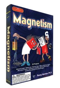 bokomslag Magnetism