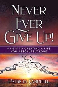 bokomslag Never Ever Give Up!