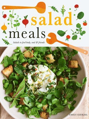 Salad Meals 1