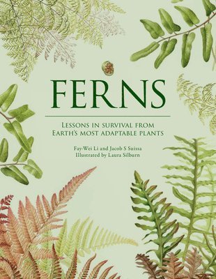 bokomslag Ferns