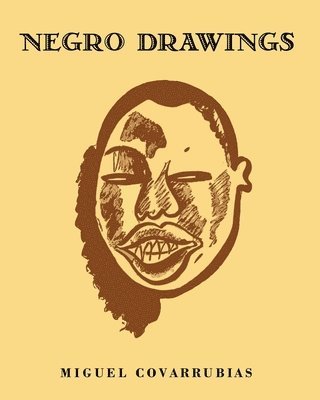 bokomslag Negro Drawings