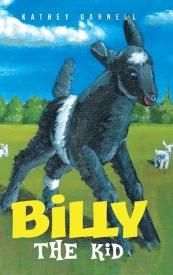 Billy the Kid 1