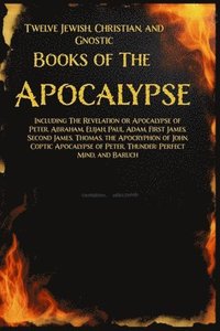 bokomslag Twelve Books of the Apocalypse