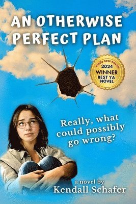 bokomslag Otherwise Perfect Plan
