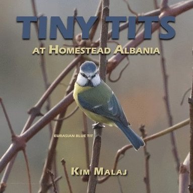 bokomslag Tiny Tits at Homestead Albania