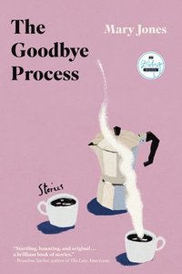 bokomslag The Goodbye Process