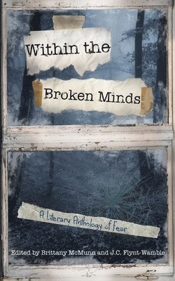 bokomslag Inside the Broken Minds