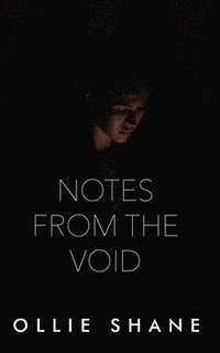 bokomslag Notes From the Void