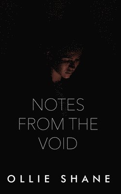 bokomslag Notes From the Void