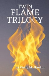 bokomslag Twin Flame Trilogy