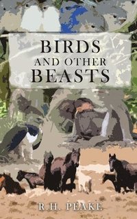 bokomslag Birds and Other Beasts