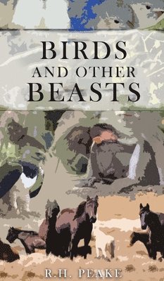 bokomslag Birds and other Beasts