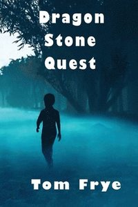 bokomslag Dragon Stone Quest