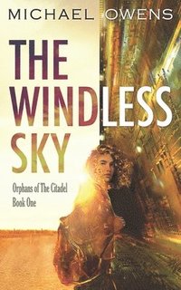 bokomslag The Windless Sky