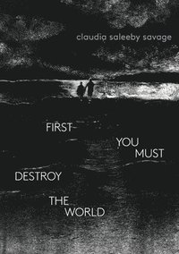 bokomslag first you must destroy the world